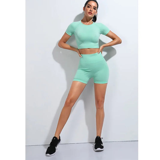 Women Seamless  set Fitness Sports Suits GYM Cloth Long Sleeve Shirts High Waist Running Leggings Workout Pants Shirts.